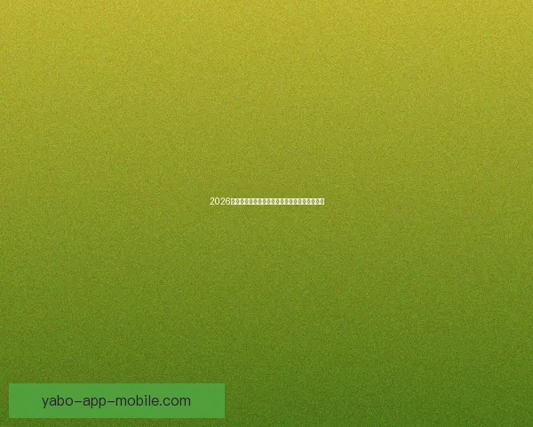 2026世界杯买球网站推荐及投注攻略分析全方位解读