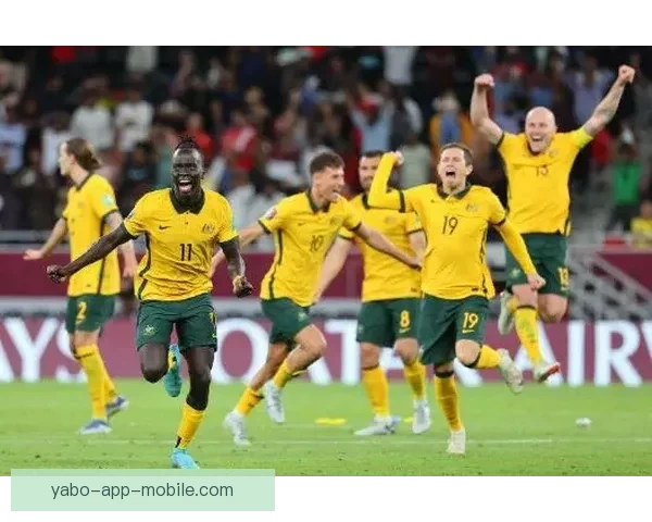 2026世界杯买球网站推荐及投注攻略分析全方位解读