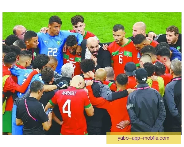 比利时足协与帕尔多会谈 球员或将代表国家队征战世界杯